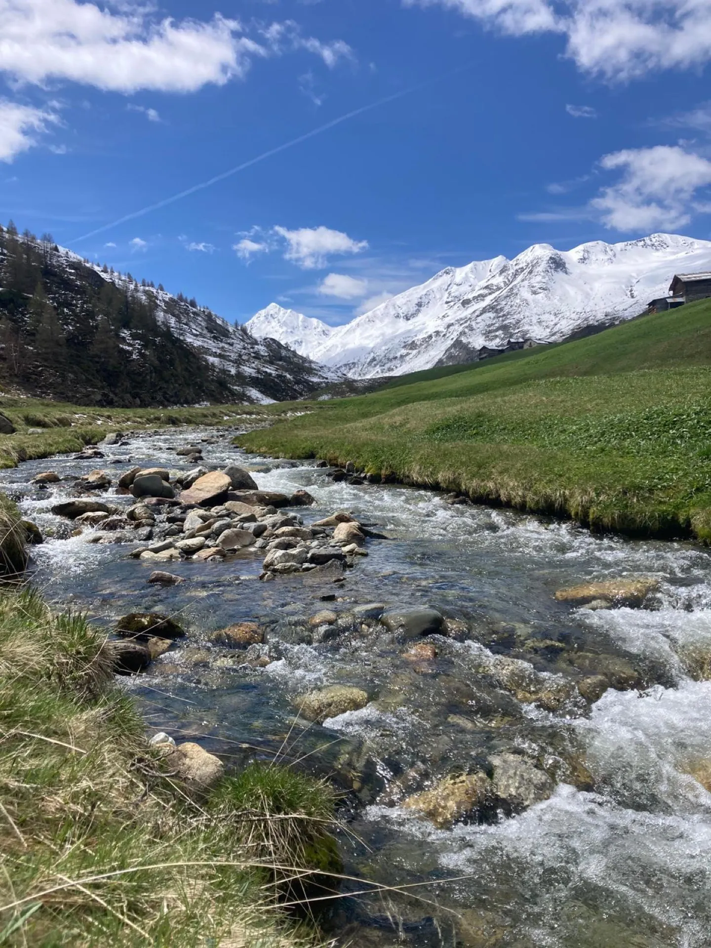Pesca a mosca sul Lario, foto 3