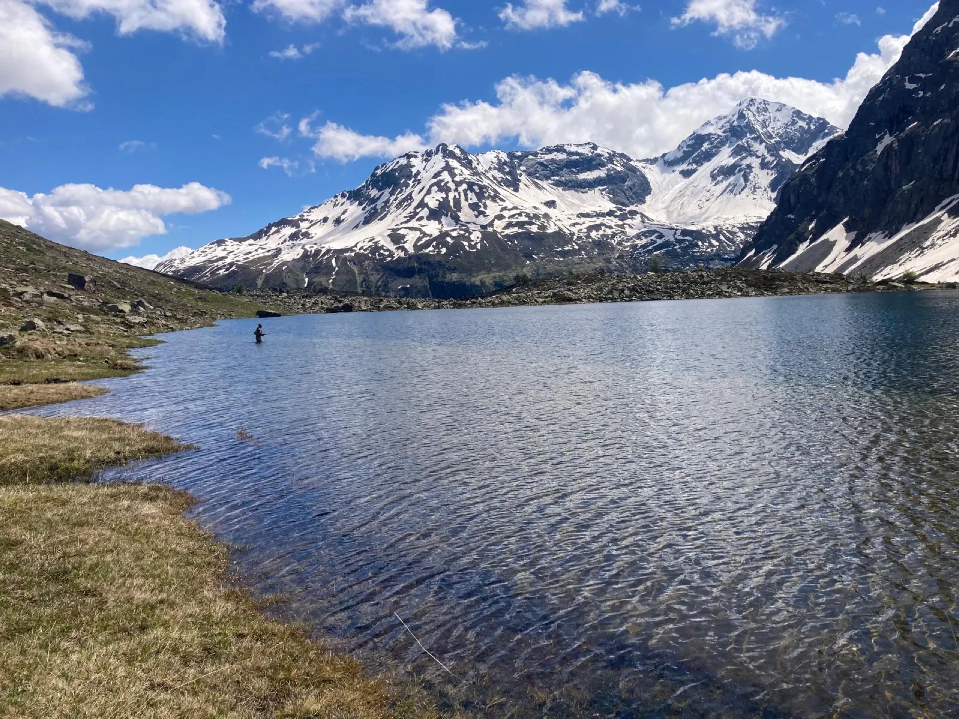 Pesca a mosca sul Lario, foto 5