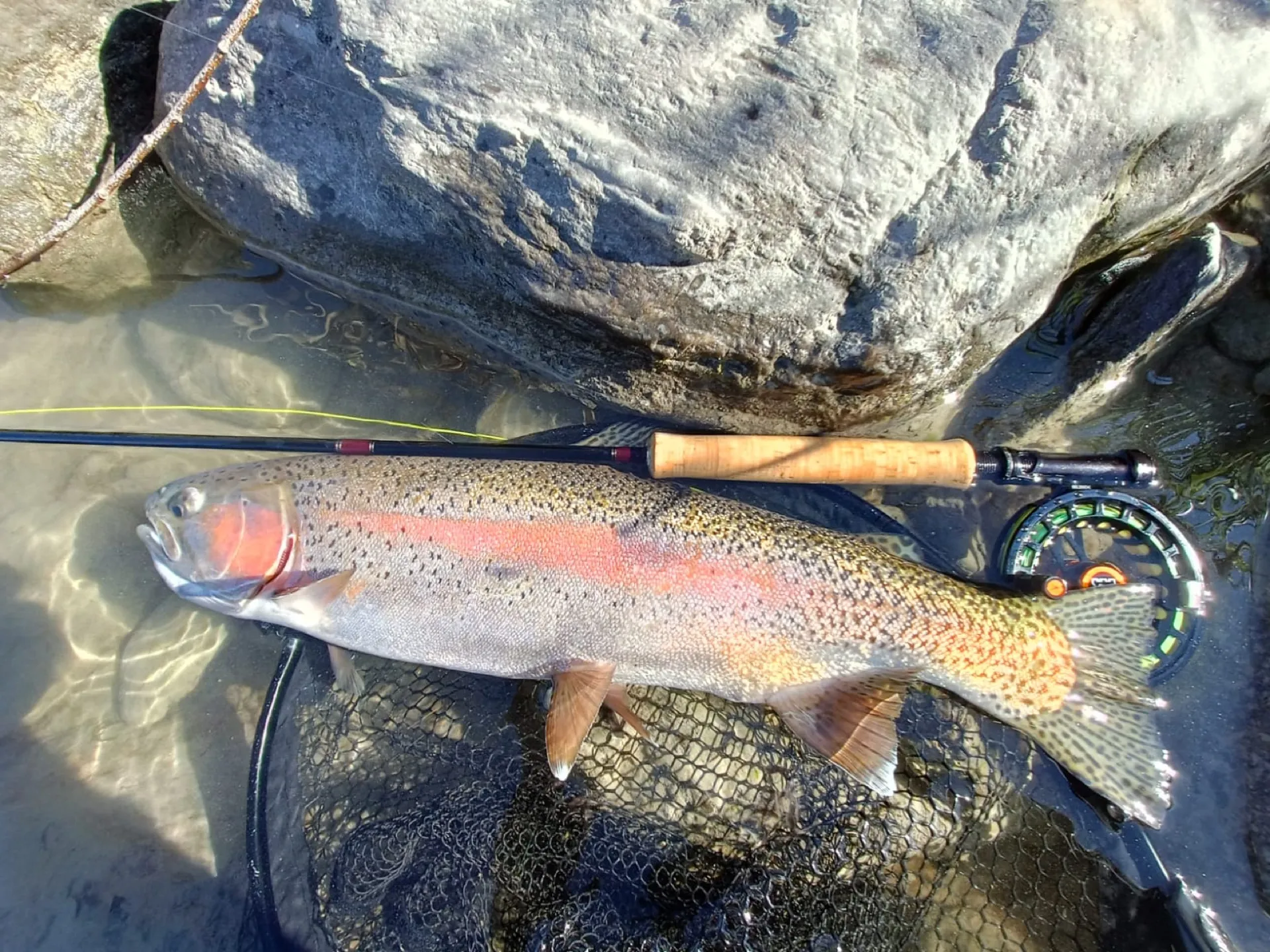 Pesca a mosca sul Lario, foto 10