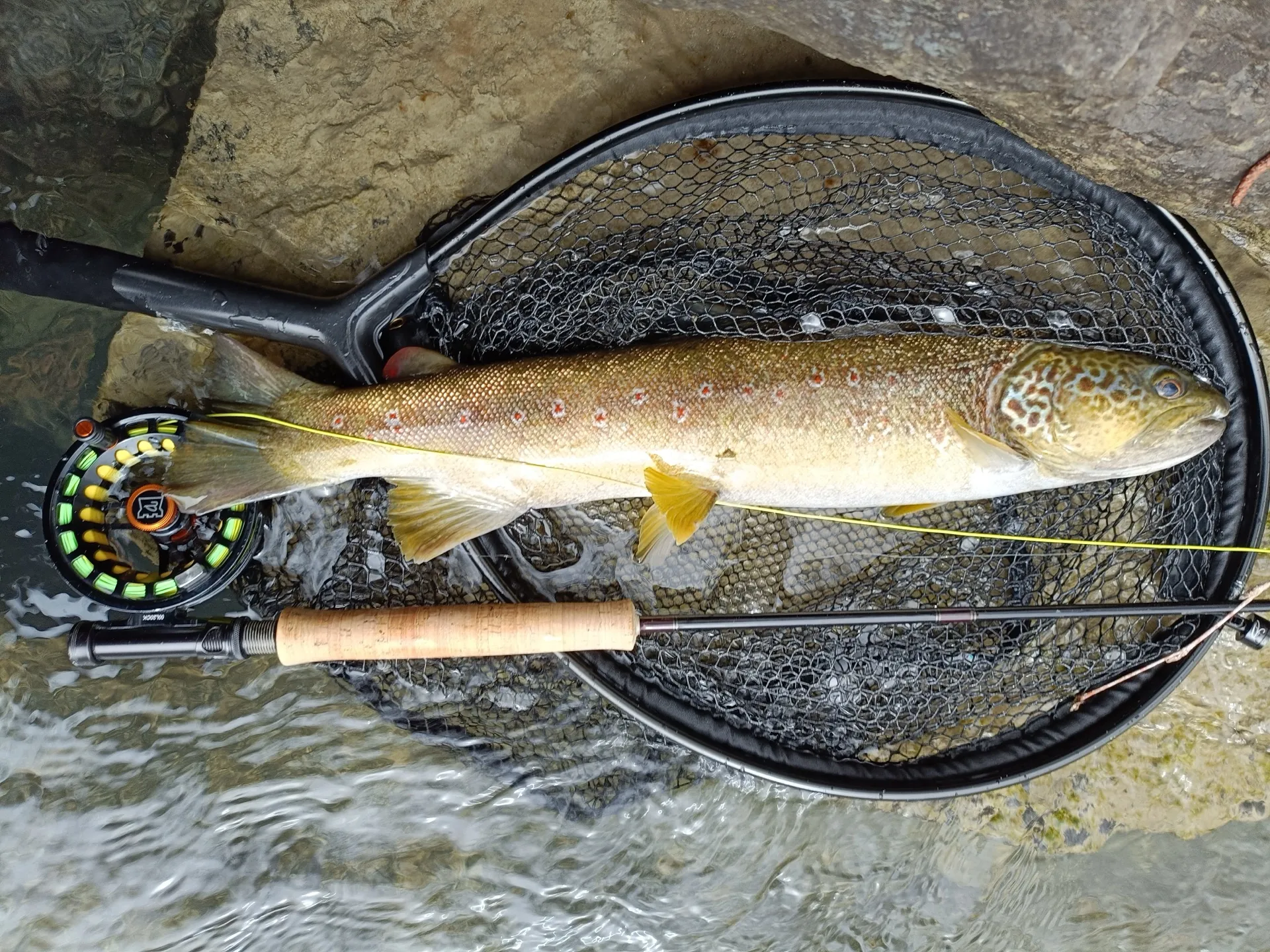 Pesca a mosca sul Lario, foto 12