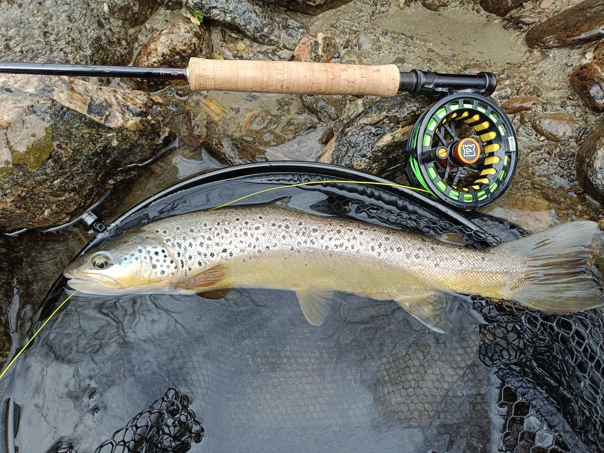Pesca a mosca sul Lario, foto 16