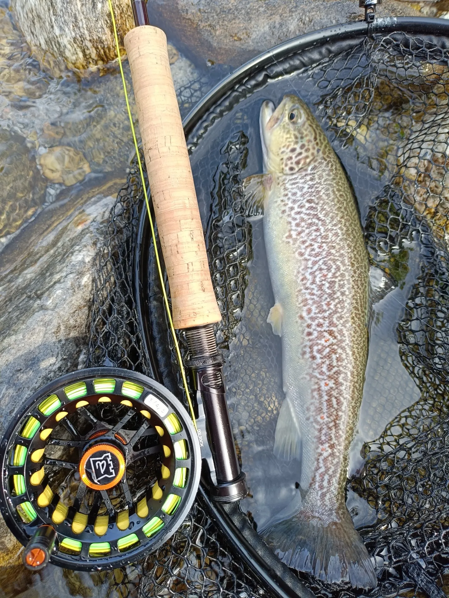 Pesca a mosca sul Lario, foto 20