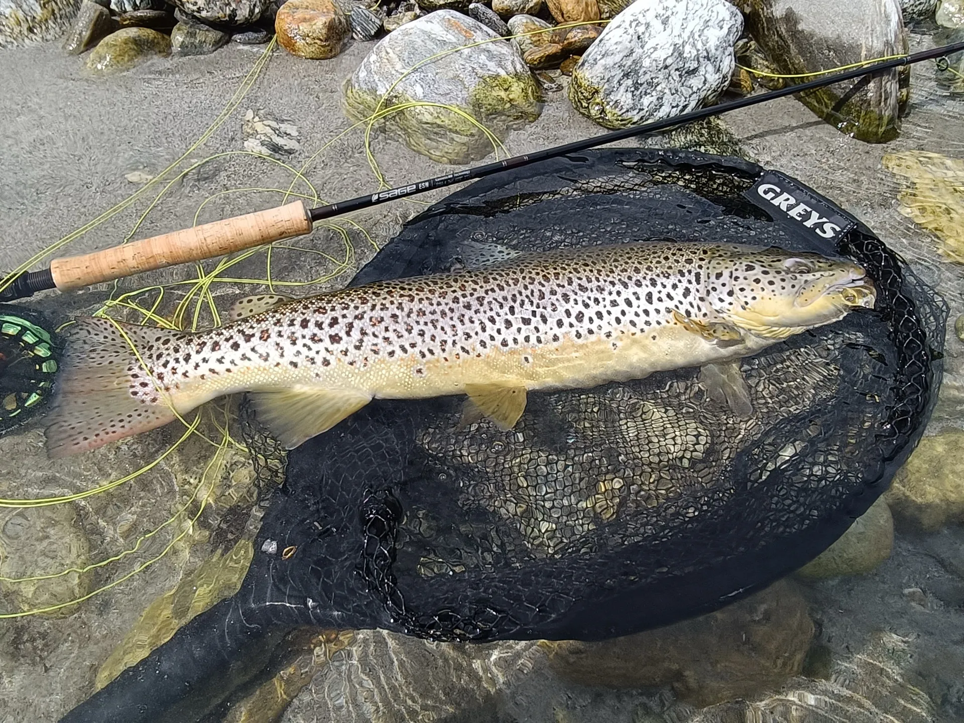 Pesca a mosca sul Lario, foto 21