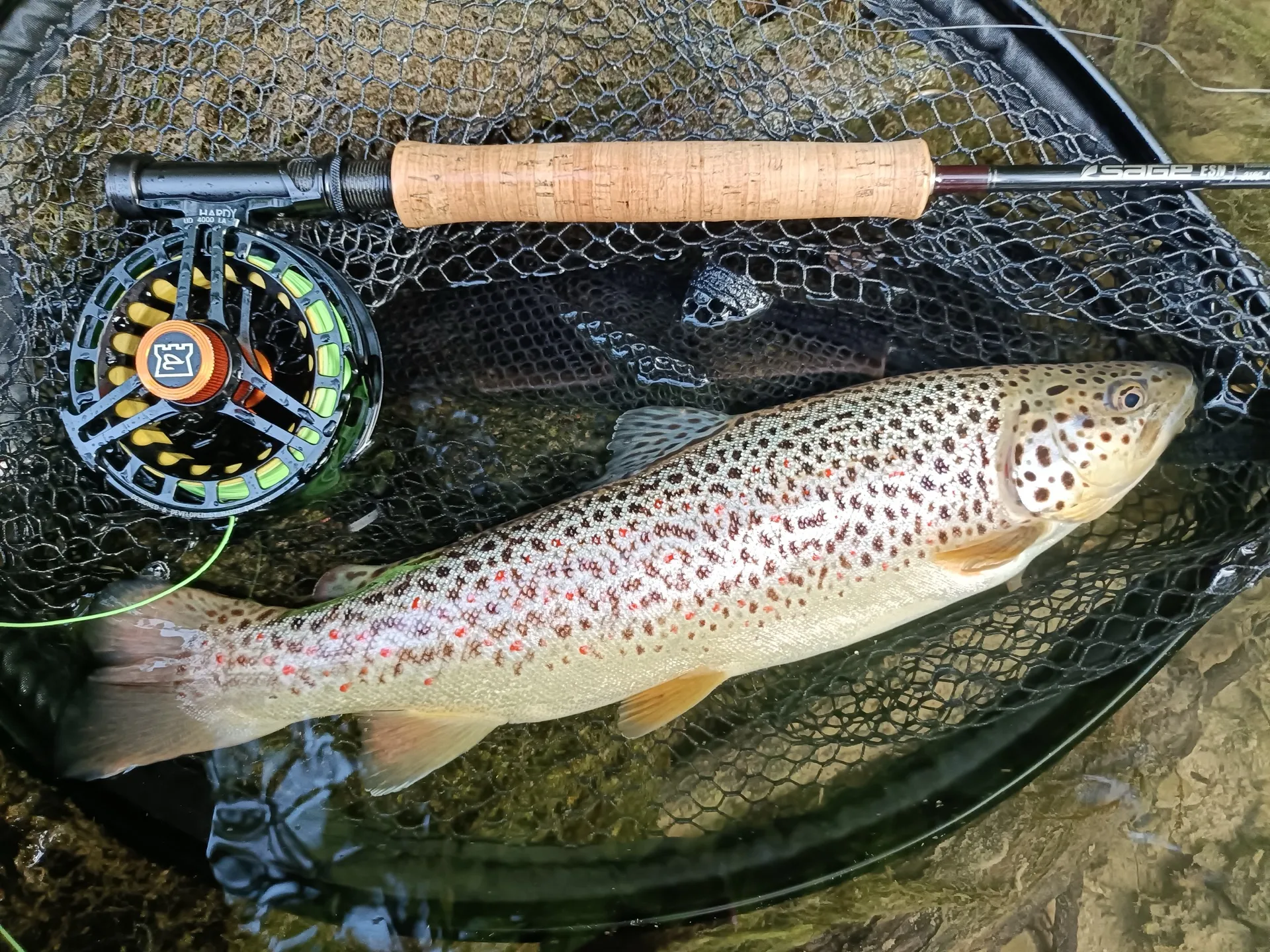 Pesca a mosca sul Lario, foto 23