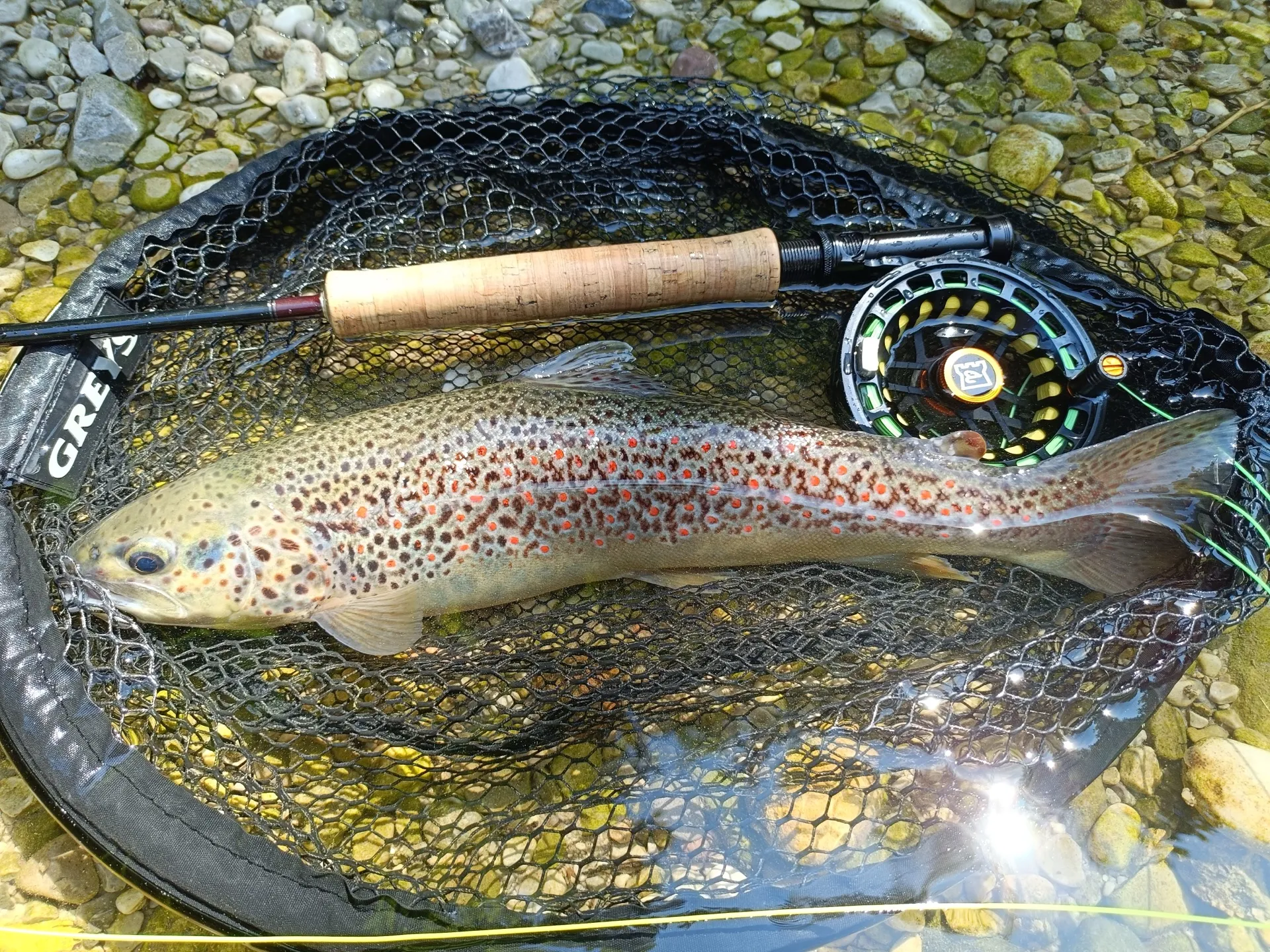 Pesca a mosca sul Lario, foto 24