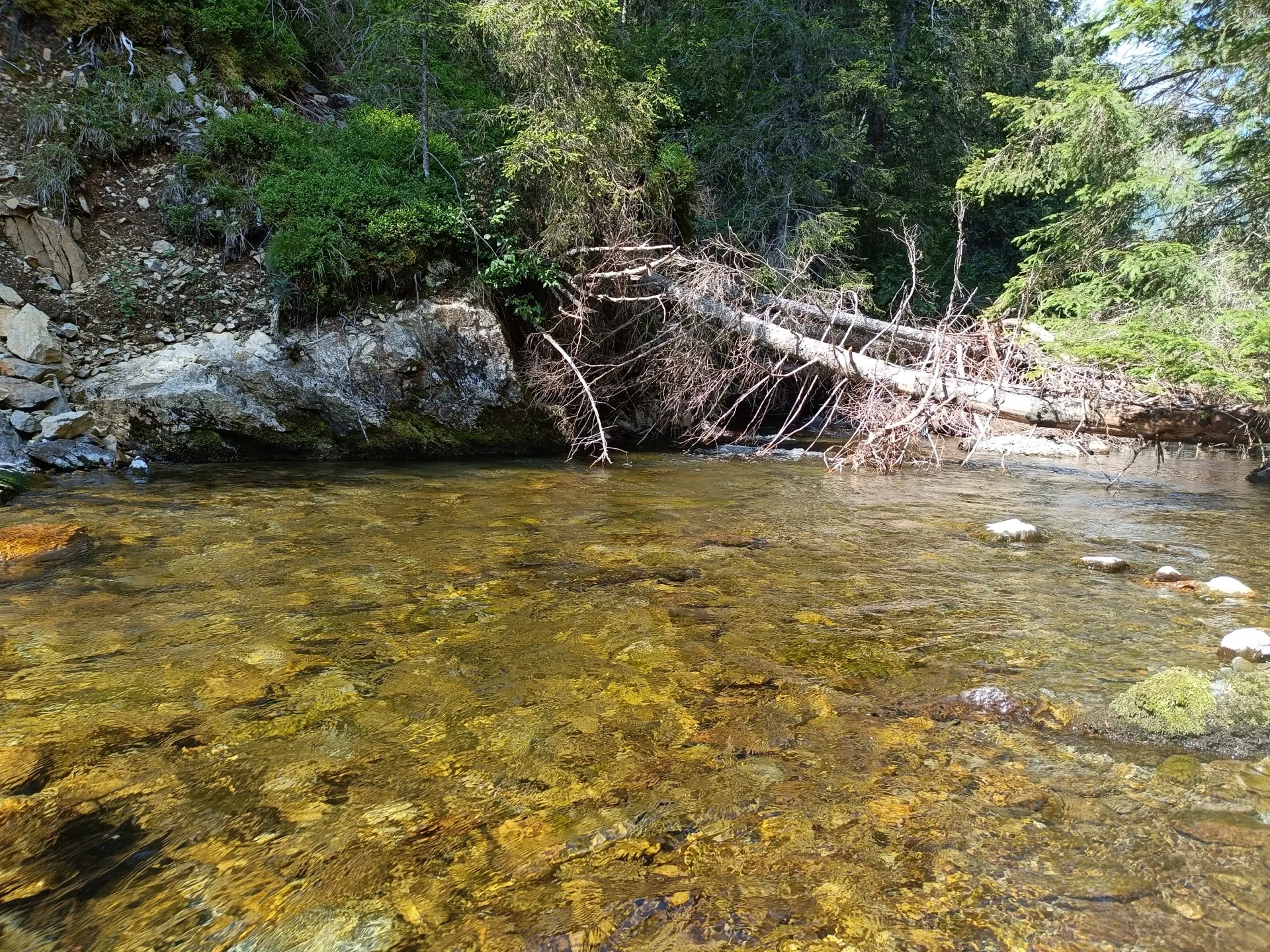 Pesca a mosca sul Lario, foto 27