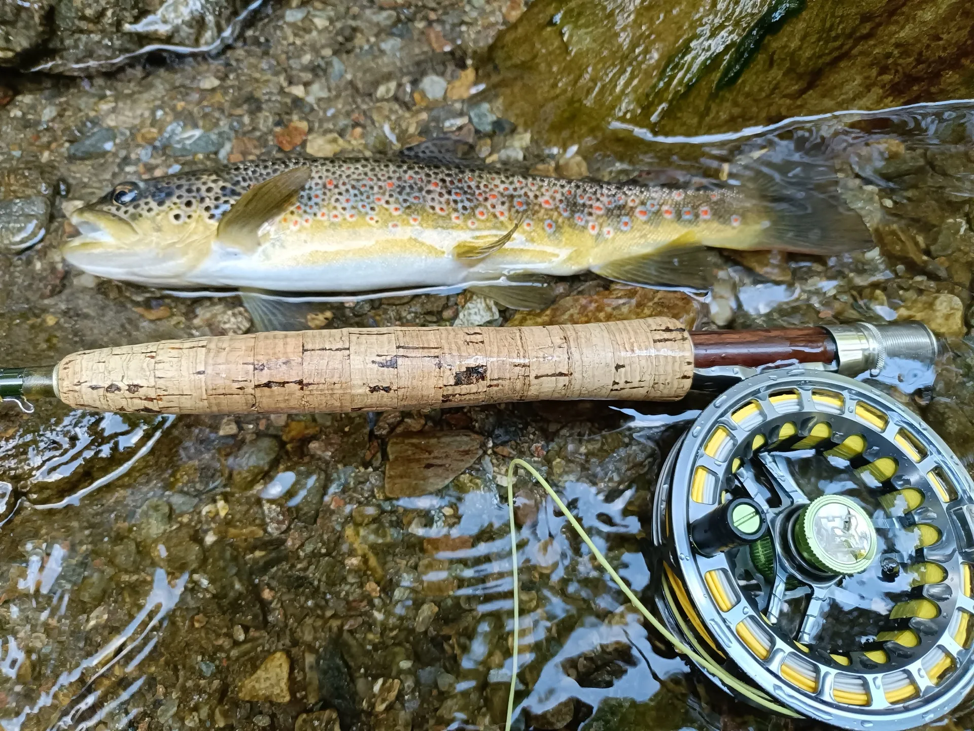 Pesca a mosca sul Lario, foto 28