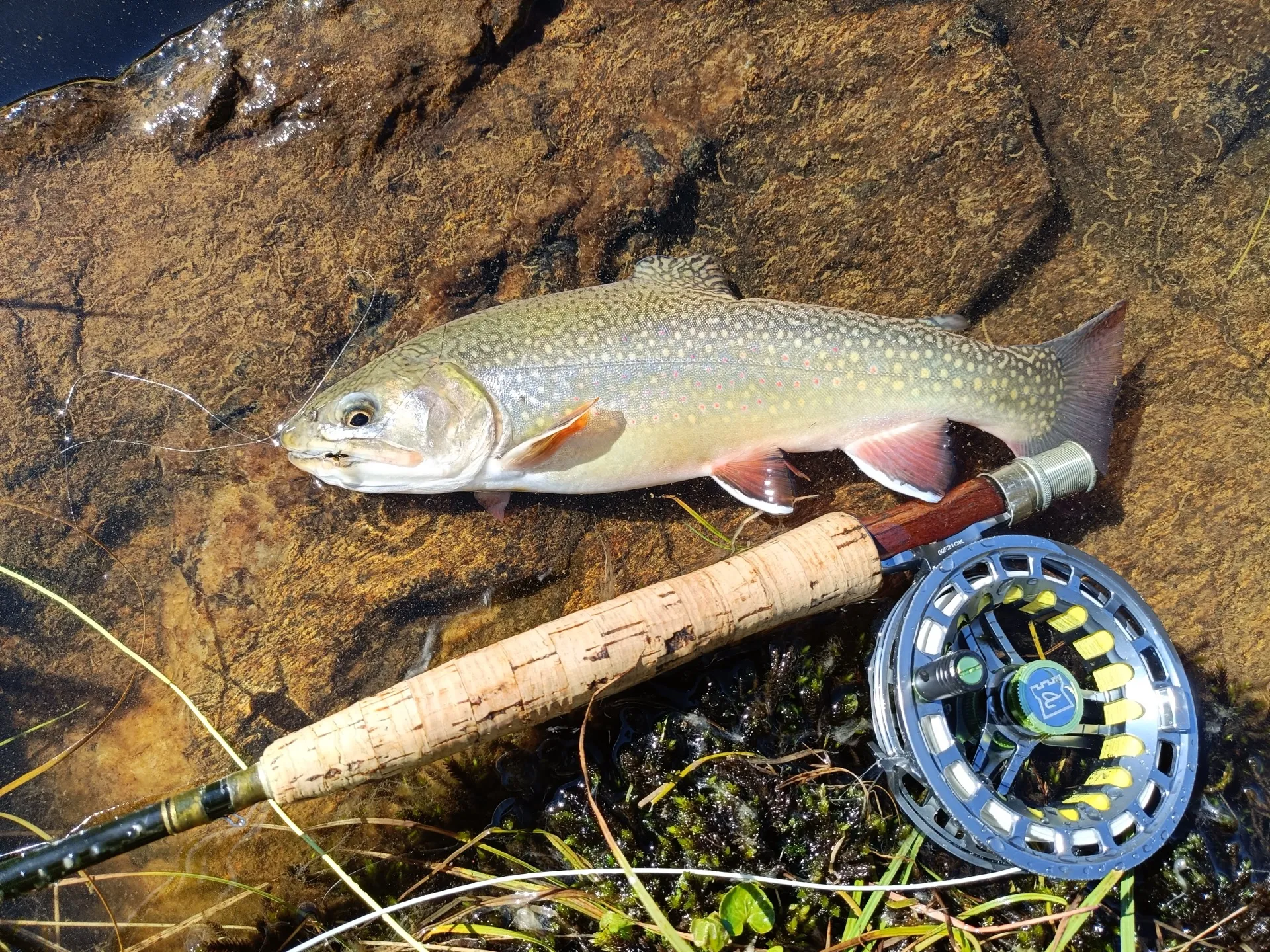 Pesca a mosca sul Lario, foto 31