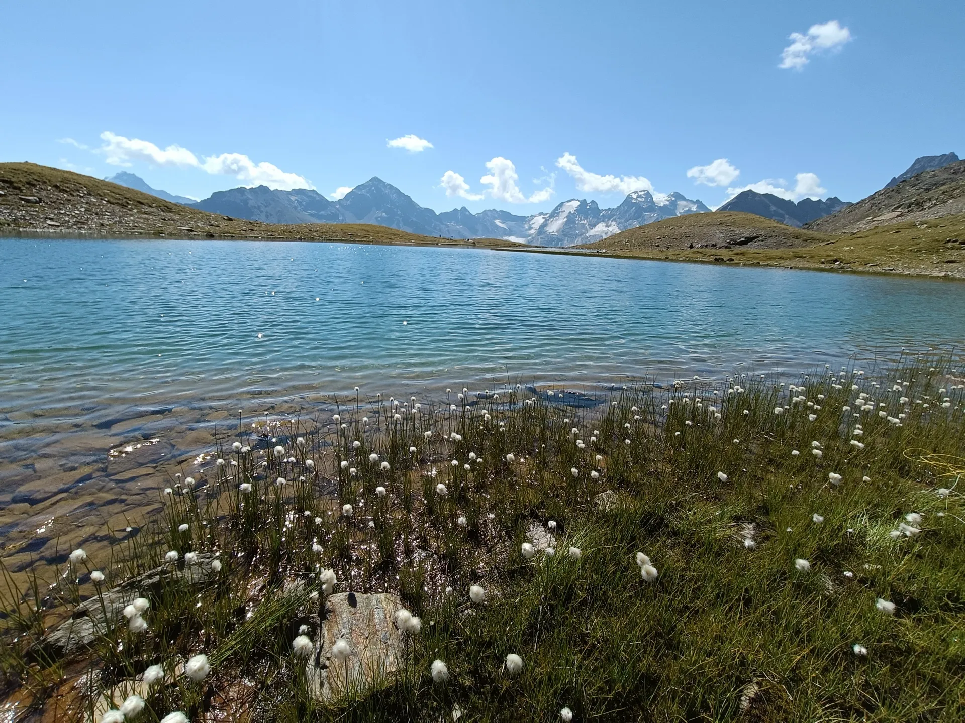 Pesca a mosca sul Lario, foto 33