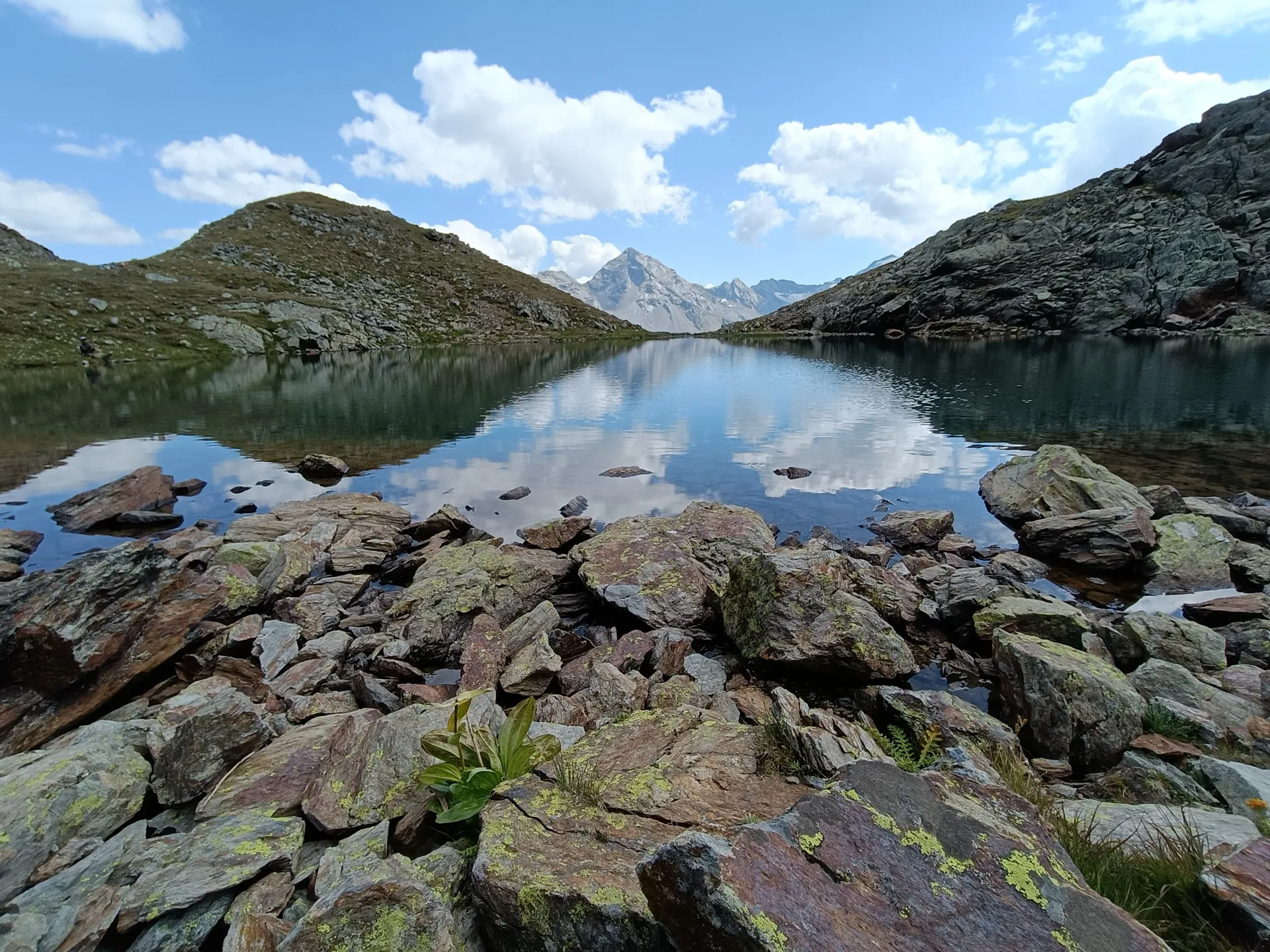 Pesca a mosca sul Lario, foto 34