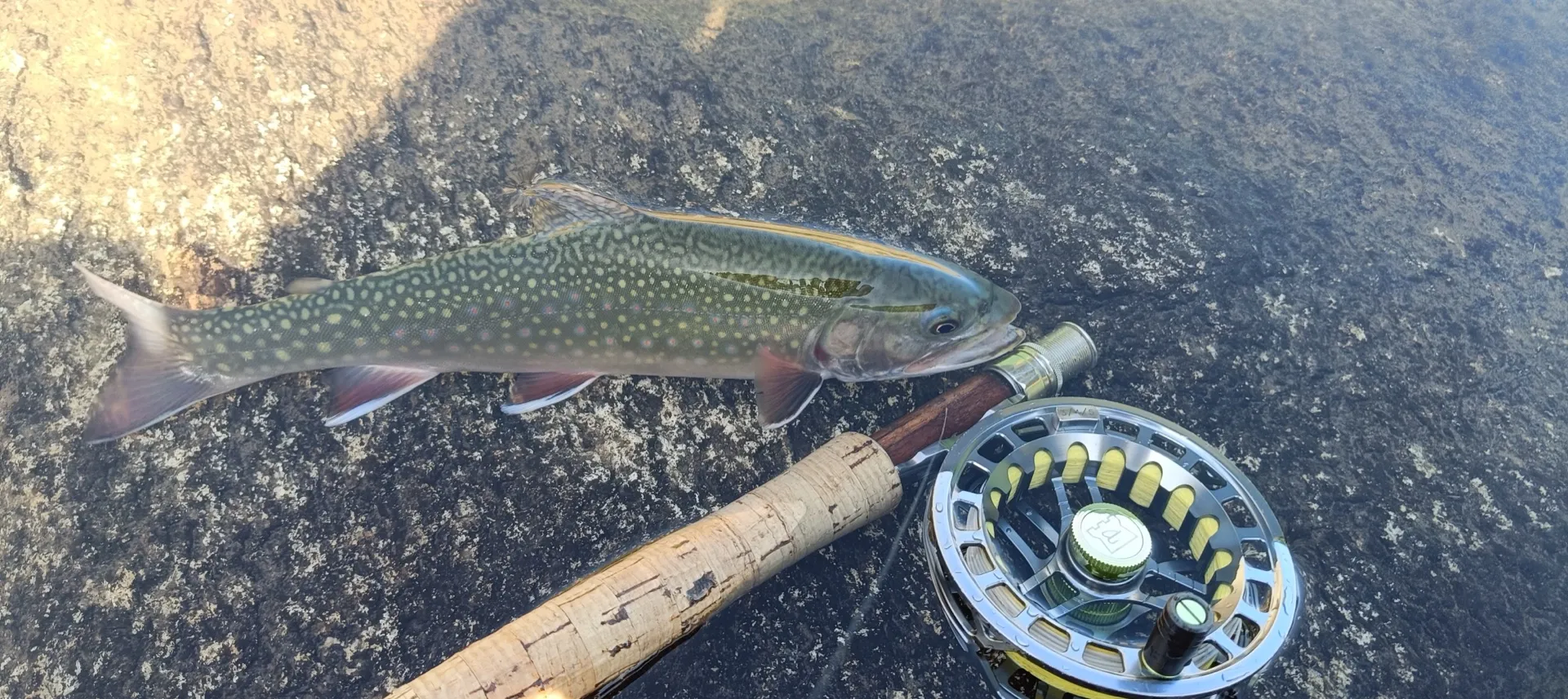 Pesca a mosca sul Lario, foto 35