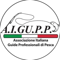 Logo AIGUPP